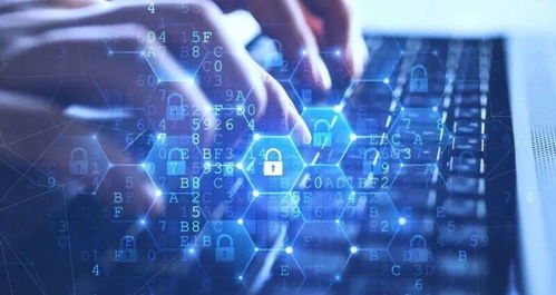 超市警惕 用戶數(shù)據(jù)泄露風(fēng)險(xiǎn)與網(wǎng)絡(luò)安全防護(hù)策略